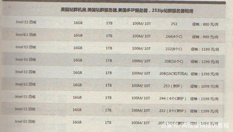 SEO站群构建趋势与策略